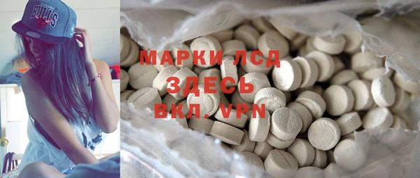 шишки Осташков