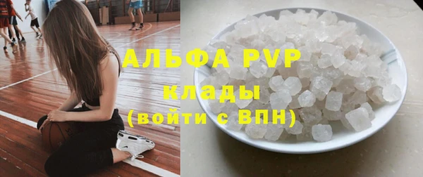 гашик Абаза
