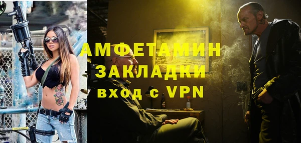 шишки Осташков
